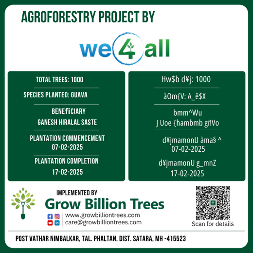 Reforesting with Purpose: We4All’s Tree Plantation for Climate & Livelihood – 1 year