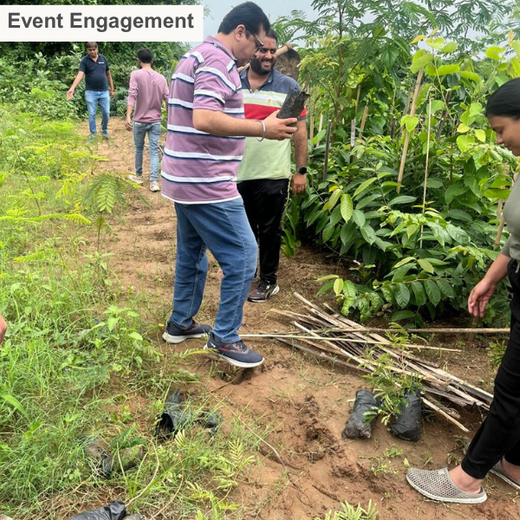 Greening Ahmedabad: Cimpress’s Urban Forest Initiative – Planting