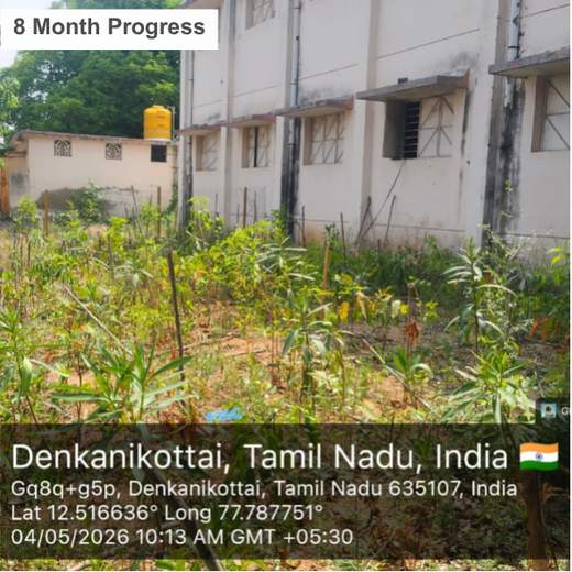 Caterpillar's Legacy: A Learning forest in Denkanikottai Tamilnadu – 1 year