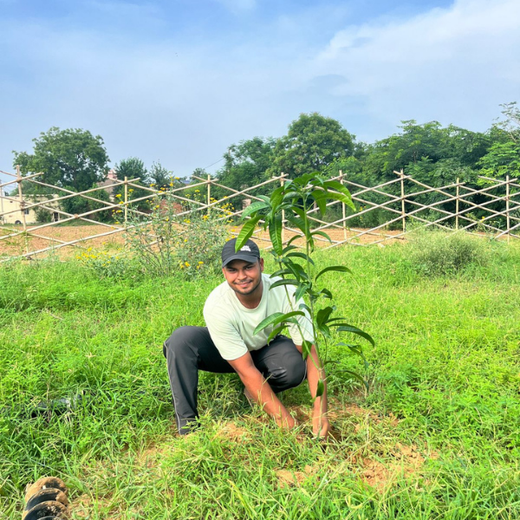 "Eco-Engagement: MongoDB’s Urban Forest Tree Planting for a Greener World" – Planting