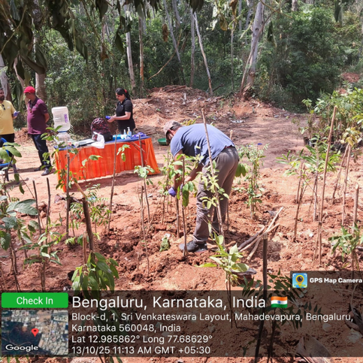 Urban Oasis: Austin Monks’ Green Vision in Bangalore – Planting