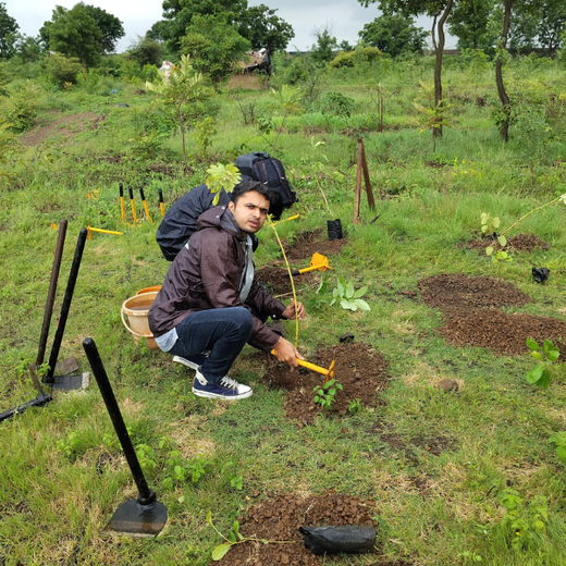 Valmont Structures: Growing Urban Forests, Growing Responsibility – Planting