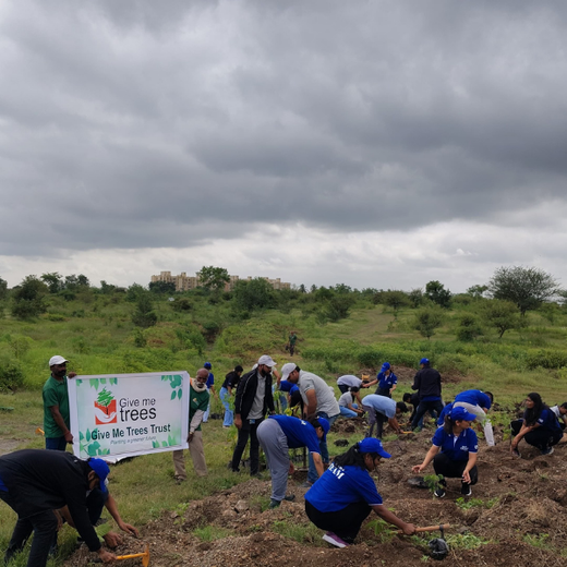 Building a Greener Future: Light & Wonder's Urban Forest Initiative for Sustainability – Planting