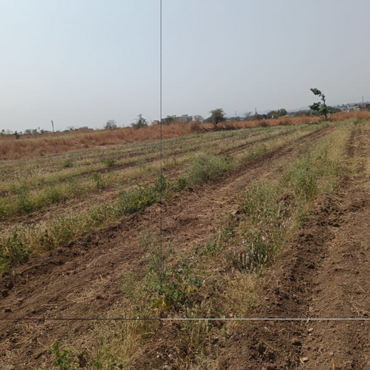 AIT’s Green Start to 2025: Growing Bonds, Growing Trees – 6 months
