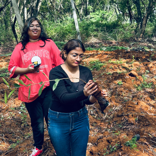 Headout's Commitment to Green Spaces: Empowering Employees with Urban Forests – Planting