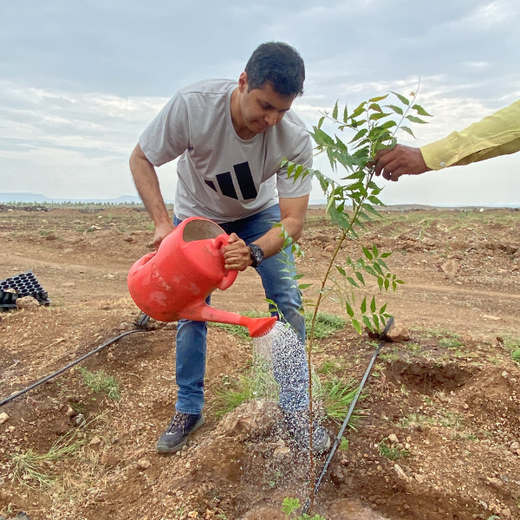 Investa Pumps Cultivates Change: A CSR Initiative for Agroforestry and Sustainability – Planting