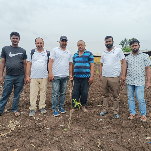 Gensol Goes Green: Agroforestry for Employees in Pune – Planting