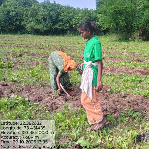 Apollo Tyres: Growing Livelihoods and Green Cover in Gujarat – 6 months