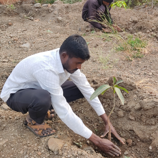 Innovating for the Earth: ALAN's Green Impact Initiative – Planting