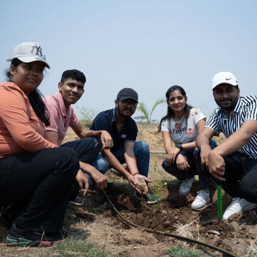Planting Today for a Greener Tomorrow: IAC Group’s Agroforest Initiative for a Sustainable Future – Planting