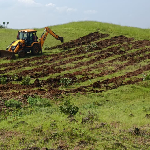 Himalaya’s Agroforestry Path to Environmental Health – Planting