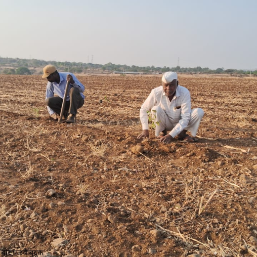 Planting Hope for Future Generations with Dentsu Global Services – 6 months
