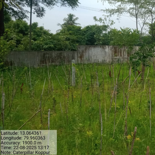 Caterpillar's Legacy: A Learning forest in Koppur Thiruvallur – 2 years