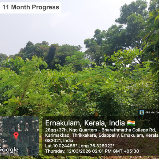 Zafin Goes Green: Cultivating ESG Values Through Urban Forestry – 2 years