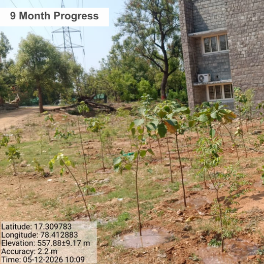 Greenprints for Tomorrow: Project Green’s Youth-Led Forest Vision – 6 months