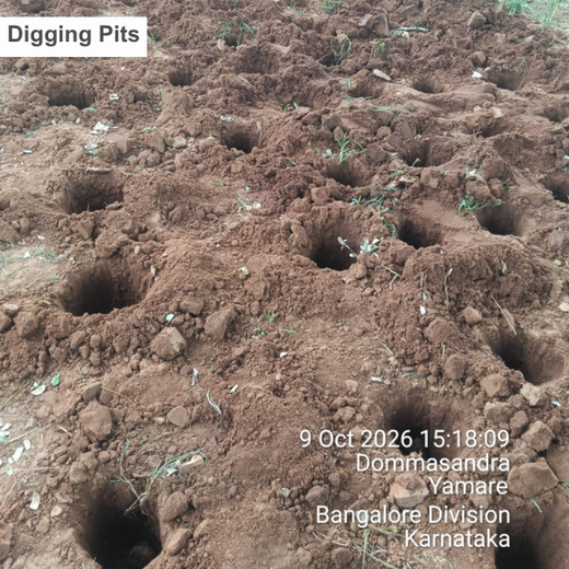 Novo Nordisk: Nurturing Nature, Strengthening Resilience in Bengaluru – Planting