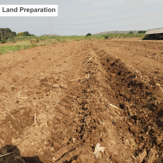 Schaeffler India Supplier Day 2026: Growing for Sustainability – Planting