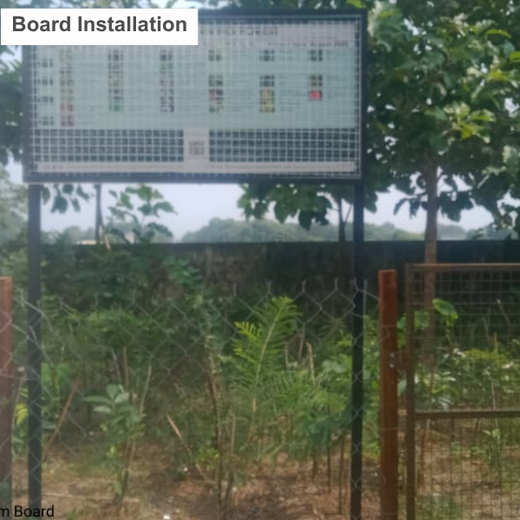 Caterpillar's Legacy: A Thriving Learning forest in Kilambakkam – 1 year