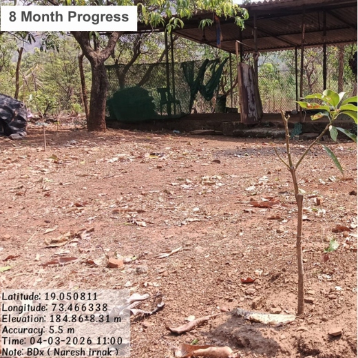 BDx India’s Agroforestry in Maharashtra:Cultivating Sustainability – 1 year