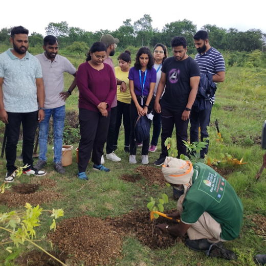 Valmont Structures: Growing Urban Forests, Growing Responsibility – Planting
