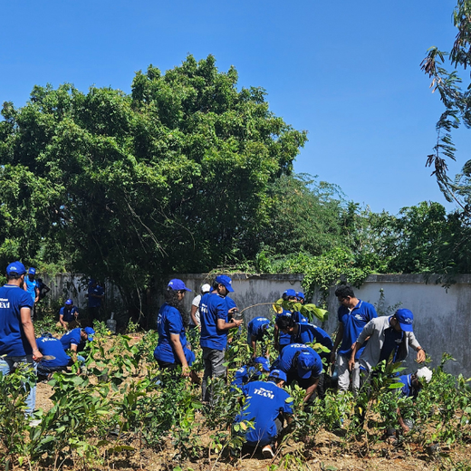 Nurturing Nature: Light & Wonder’s Green Engagement Program – Planting