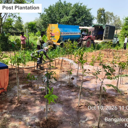 Novo Nordisk: Nurturing Nature, Strengthening Resilience in Bengaluru – 6 months