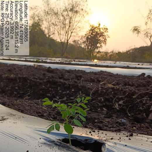 Seeds of Sustainability: RPG Life Sciences’ Go Green Initiative – 6 months