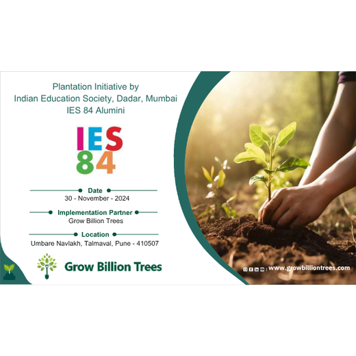 40 Years Strong: Planting Trees, Growing Memories in Agroforests – 6 months