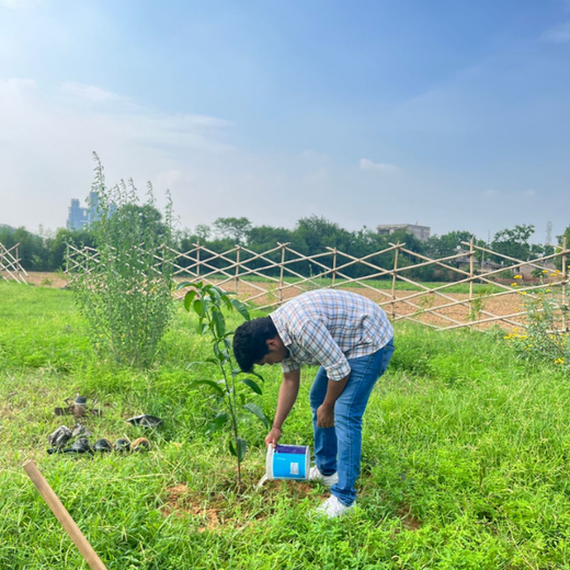 "Eco-Engagement: MongoDB’s Urban Forest Tree Planting for a Greener World" – Planting