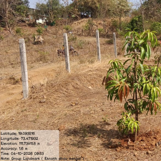 Group Landmark’s ROAR: Driving CSR Through Agroforests – 2 years