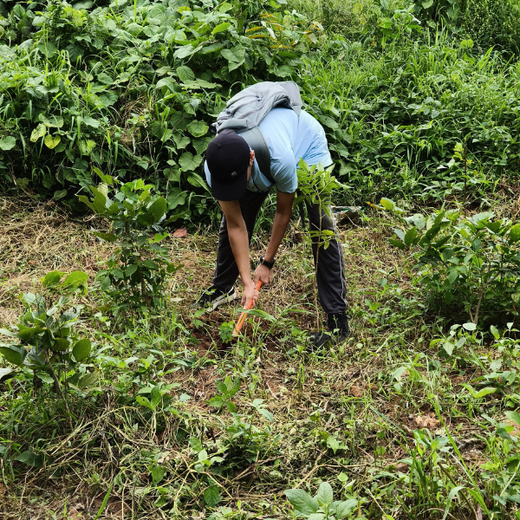 “Cimpress Bangalore's Green Quest: Building Urban Forests, Empowering Employees” – Planting