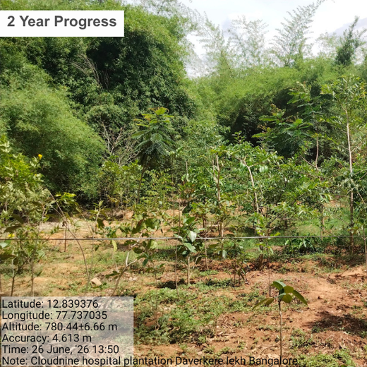 A Breath of Fresh Air: Cloudnine Hospitals' Commitment to Urban Forests – 2 years