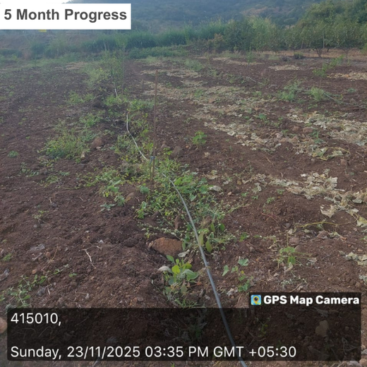Nature First: Tarasafe’s World Nature Conservation Day Drive – 6 months