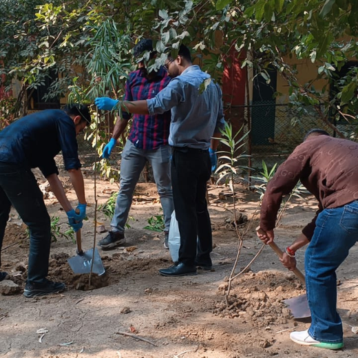 CSR Green Drive 2025: Techno Electric & Engineering’s ESG Plantation – Planting
