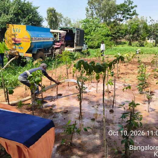 Novo Nordisk: Nurturing Nature, Strengthening Resilience in Bengaluru – 6 months