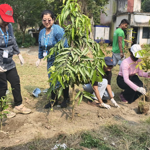CSR Urban Plantation Drive on International ESG Day 2025 – Planting