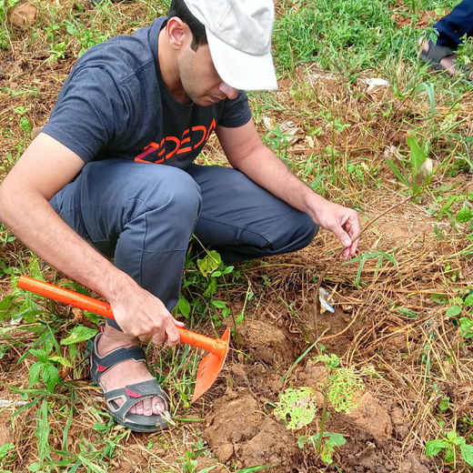 Cultivating Urban Change: Zededa India’s Tree Planting Drive – Planting