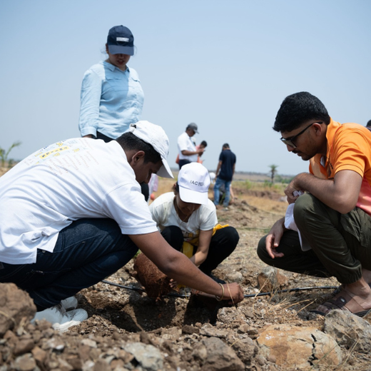 Planting Today for a Greener Tomorrow: IAC Group’s Agroforest Initiative for a Sustainable Future – Planting