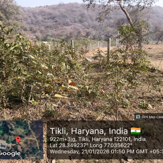 Buds of Change: A Tribute to Earth by Shweta and Friends – 1 year