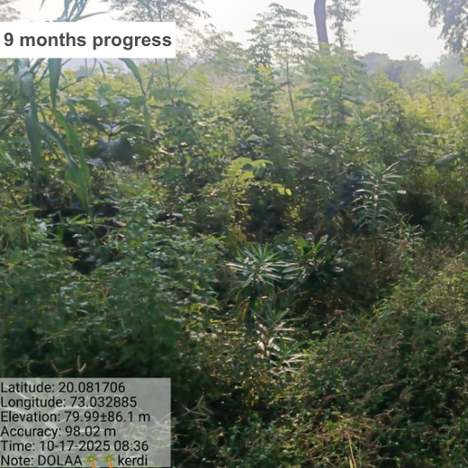 Dolara Village Blossoms: Silox India’s Miyawaki Green Legacy – 3 years