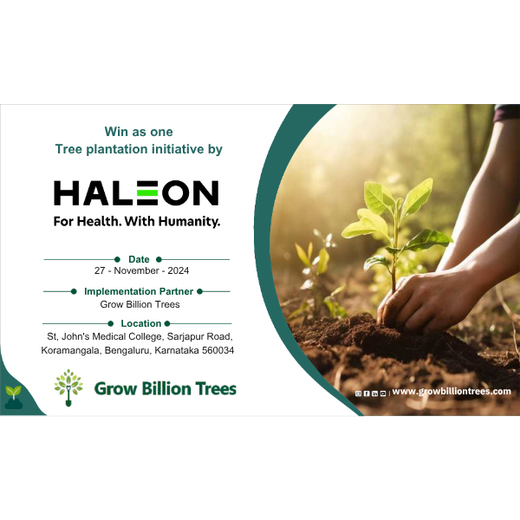 Healthier Tomorrow Starts Today: Haleon Global's Urban Greenery – Planting