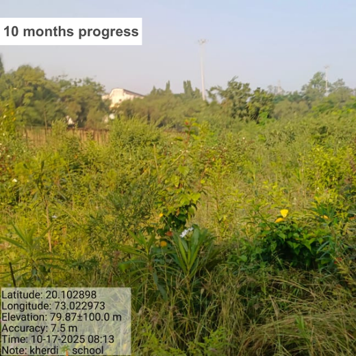 Silox India Miyawaki Tree Plantation School Initiative: Growing Green Futures – 2 years
