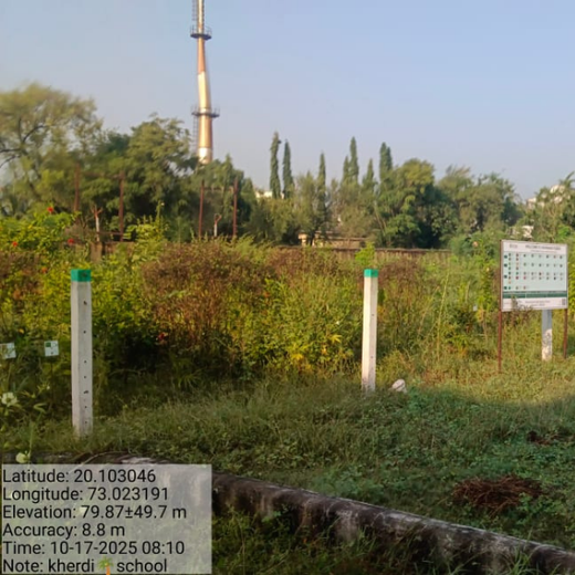 Silox India Miyawaki Tree Plantation School Initiative: Growing Green Futures – 2 years