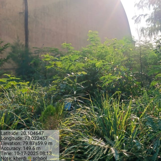 Silox India Miyawaki Tree Plantation School Initiative: Growing Green Futures – 2 years
