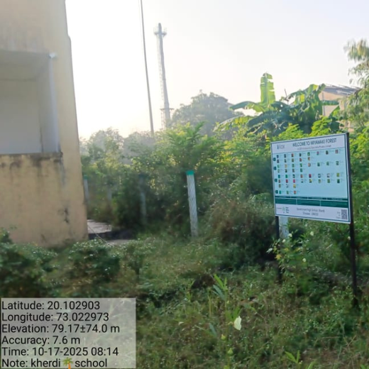 Silox India Miyawaki Tree Plantation School Initiative: Growing Green Futures – 2 years