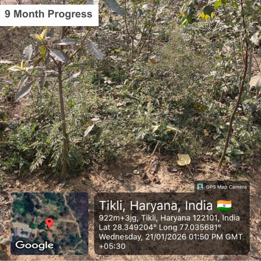 Buds of Change: A Tribute to Earth by Shweta and Friends – 1 year