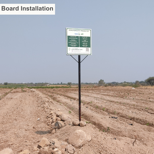 Reforesting with Purpose: We4All’s Tree Plantation for Climate & Livelihood – 1 year
