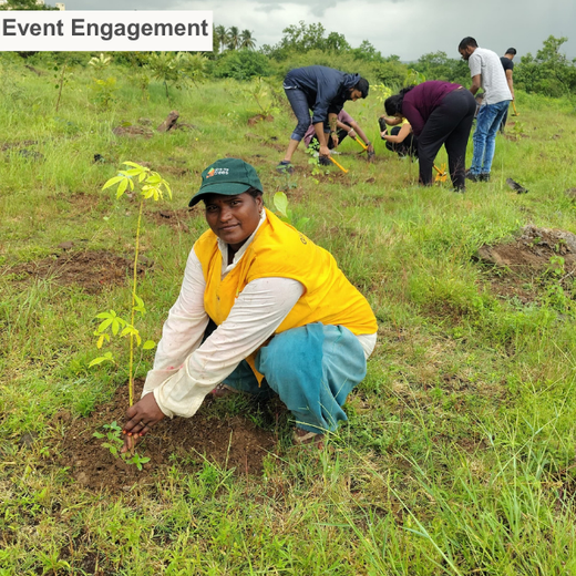 Valmont Structures: Growing Urban Forests, Growing Responsibility – Planting