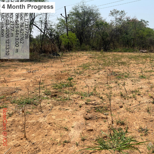 Fit for the Future: ABC Fitness Solutions’ Urban Forest Drive – Planting