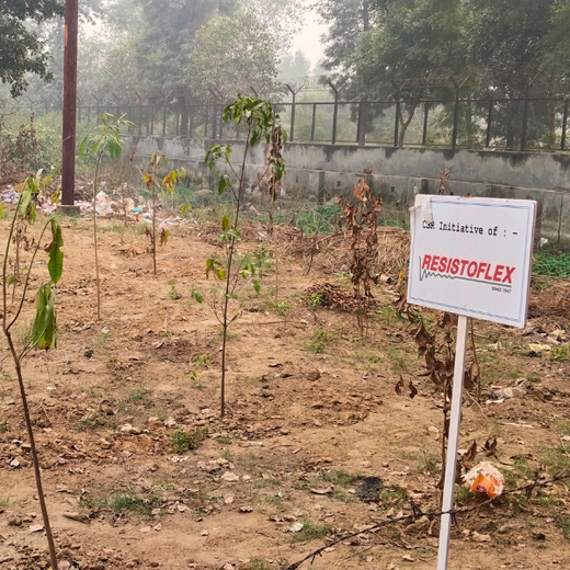 Resistoflex Dynamics: Building a Greener Community with Urban Forests – 1 year